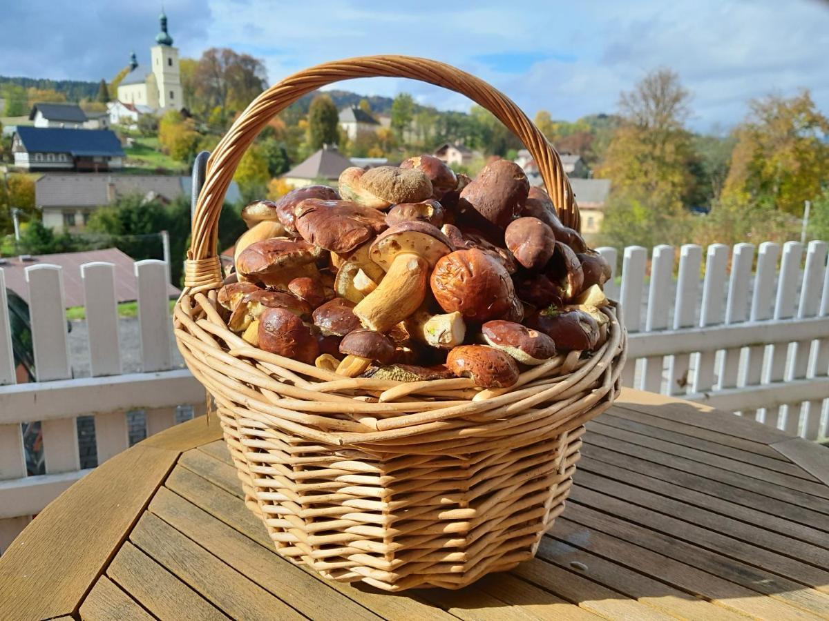 Pension Jana - Wellness Jilemnice Esterno foto