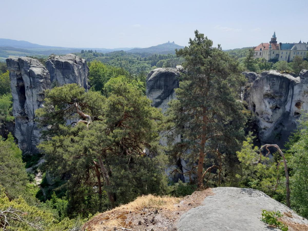 Pension Jana - Wellness Jilemnice Esterno foto